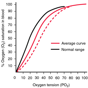 Oxygen–hemoglobin dissociation curve - Wikipedia