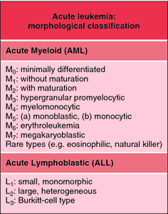 Fab Classification Acute Leukemias Definition Of Fab Classification Acute Leukemias By Medical Dictionary