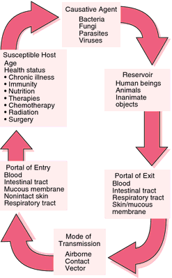 Subclinical Infection Definition Of Subclinical Infection By Medical Dictionary