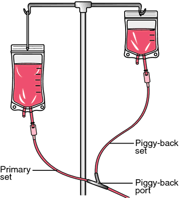 Piggyback — PIGGYBACK definition 