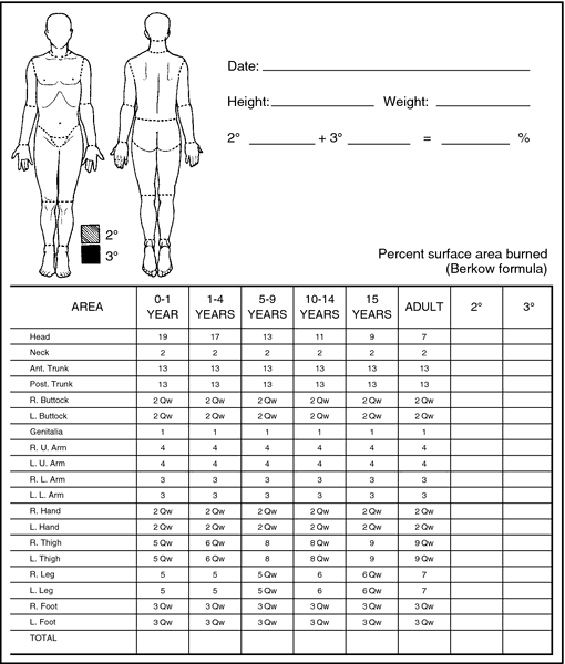 Lund And Browder Chart : Burn Injuries in Children / Special ...