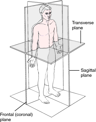 parasagittal plane