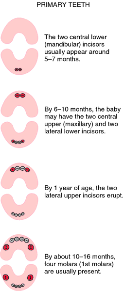 teething age