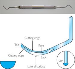 Universal curet | definition of universal curet by Medical dictionary