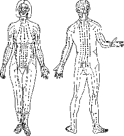 Meridians | definition of meridians by Medical dictionary