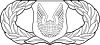 United States Air Force Operations Support Badge.svg