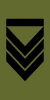 Norway-Army-OR-5b.svg