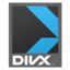 DivX container.png