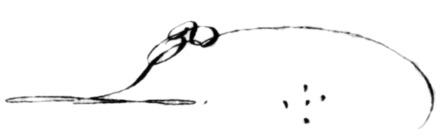 Cursive monogram or cipher P with flourishes