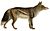 Dogs, jackals, wolves, and foxes (Plate XIII).png