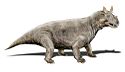 Estemmenosuchus mirabilis.jpg