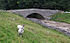 Yockenthwaite Bridge - geograph.org.uk - 556918.jpg