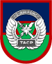 USAF Tactical Air Control Party Beret Flash.svg