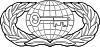 United States Air Force Intelligence Badge.svg