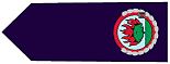 NSWRFS Insignia AssistCommissioner.jpg