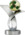 B Series Brazilian Championship Trophy.png