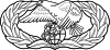 United States Air Force Transportation Badge.svg