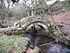 Packhorse Bridge at Thornthwaite - geograph.org.uk - 678184.jpg