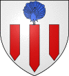 Former blason of Pau