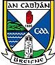 Cavan GAA crest.jpg