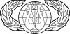 United States Air Force Band Badge.svg