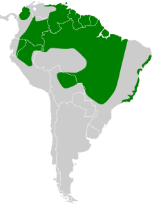 Amazona amazonica map.svg