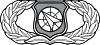 United States Air Force Weapons Director Badge.svg