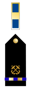 US Navy WO1 insignia.svg