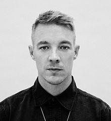 Diplo 2014 Press Photo (cropped).jpg