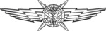 USAF - Cyberspace Operator Wings Basic.png
