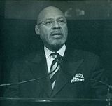 Mayor of Detroit Dennis Archer Portrait.jpg
