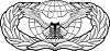 United States Air Force Force Protection Badge.svg