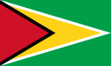 Flag of Guyana