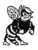 MCHS HORNETS MASCOT.jpg