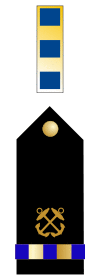 U.S. Navy chief warrant officer 2 rank insignia