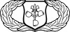 United States Air Force Meteorologist Badge.svg