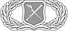 15A Duty badge.jpg