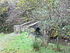 Packhorse bridge - geograph.org.uk - 598943.jpg
