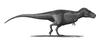 Tyrannosaurus-rex-Profile-steveoc86.png