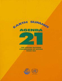 Agenda 21 Cover.gif