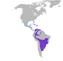 Platalea ajaja map.svg
