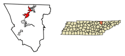 Location of Oneida in Scott County, Tennessee.