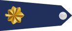 US Air Force O4 shoulderboard rotated.svg