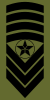 Norway-Army-OR-9b.svg