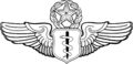 Flight Surgeon Badge.png