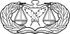 United States Air Force Paralegal Badge.svg