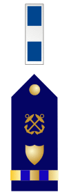U.S. Coast Guard chief warrant officer 3 rank insignia