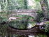 Footbridge reflected in River Rivelin.jpg