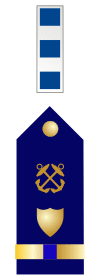 U.S. Coast Guard chief warrant officer 4 rank insignia