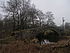 Packhorse bridge at Calva Hall - geograph.org.uk - 2778915.jpg